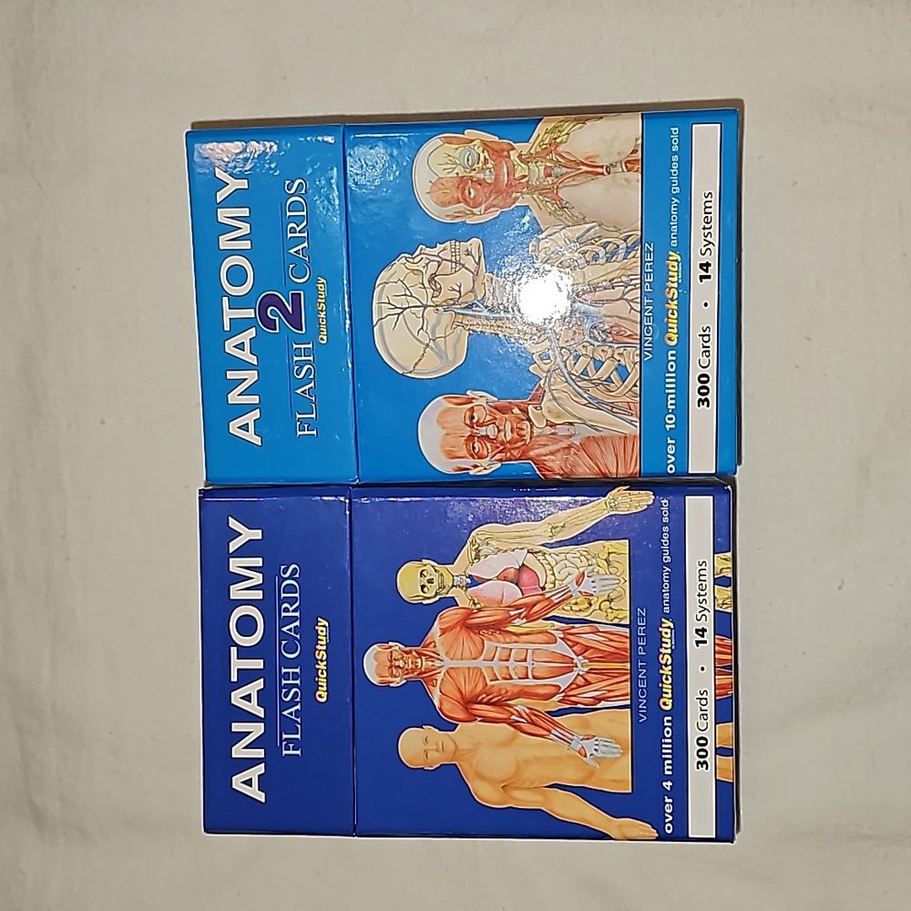Anatomy and Anatomy 2 Flashcards